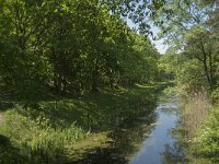 NL, Zeeland, Veere, Oranjezon 1, Saxifraga-Jan van der Straaten