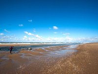 NL, Zuid-Holland, 's-Gravenhage, Noorderstrand 2, Saxifraga-Bart Vastenhouw