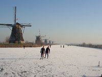 NL, Zuid-Holland, Alblasserdam, Kinderdijk 7, Saxifraga-Jan C van der Straaten