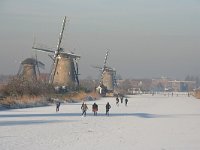 NL, Zuid-Holland, Alblasserdam, Kinderdijk 9, Saxifraga-Jan C van der Straaten