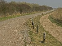 NL, Zuid-Holland, Dirksland, Slikken van Flakkee 6, Saxifraga-Jan van der Straaten