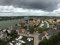 NL, Zuid-Holland, Dordrecht 19, Saxifraga-Willem van Kruijsbergen