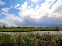 NL, Zuid-Holland, Dordrecht, Merwelanden 1, Saxifraga-Bart Vastenhouw