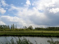 NL, Zuid-Holland, Dordrecht, Merwelanden 3, Saxifraga-Bart Vastenhouw