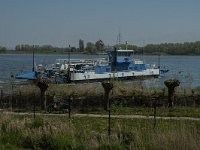 NL, Zuid-Holland, Dordrecht, Nieuwe Merwede 4, Saxifraga-Marijke Verhagen