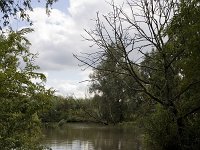 Kreek bij Natuurpad  Creek in the Biesbosch National Park, Netherlands : Biesbosch National Park, color, colour, creek, Dordrecht, Dutch, Europe European, Holland, marsh wetland, nature natural, nature reserve, Netherlands, rural landscape, summer, tree, vertical, water