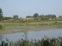 NL, Zuid-Holland, Dordrecht, Polder Kort- en Lang Ambacht 8, Saxifraga-Willem van Kruijsbergen