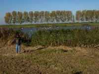 NL, Zuid-Holland, Dordrecht, Tongplaat 29, Saxifraga-Jan van der Straaten