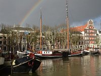 NL, Zuid-Holland, Dordrecht, Wolwevershaven 4, Saxifraga-Tom Heijnen