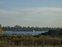 NL, Zuid-Holland, Dordrecht, Zuidplaatje 7, Saxifraga-Marijke Verhagen