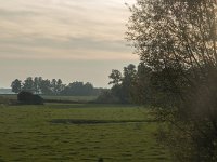 NL, Zuid-Holland, Dordrecht, Zuidplaatje 8, Saxifraga-Marijke Verhagen