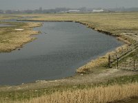 NL, Zuid-Holland, Goeree-Overflakkee, De Vingerling 7, Saxifraga-Jan van der Straaten