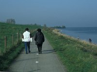 NL, Zuid-Holland, Goeree-Overflakkee, Grevelingen 2, Saxifraga-Jan van der Straaten