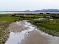 NL, Zuid-Holland, Goeree-Overflakkee, Kwade Hoek 1, Saxifraga-Bart Vastenhouw