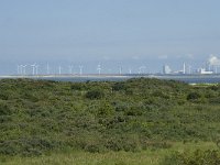 NL, Zuid-Holland, Goeree-Overflakkee, Kwade Hoek 1, Saxifraga-Willem van Kruijsbergen