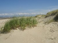 NL, Zuid-Holland, Goeree-Overflakkee, Kwade Hoek 41, Saxifraga-Willem van Kruijsbergen