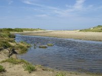 NL, Zuid-Holland, Goeree-Overflakkee, Kwade Hoek 51, Saxifraga-Willem van Kruijsbergen