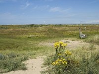 NL, Zuid-Holland, Goeree-Overflakkee, Kwade Hoek 54, Saxifraga-Willem van Kruijsbergen