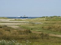 NL, Zuid-Holland, Goeree-Overflakkee, Kwade Hoek 55, Saxifraga-Willem van Kruijsbergen