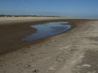 NL, Zuid-Holland, Goeree-Overflakkee, Kwade Hoek 6, Saxifraga-Jan van der Straaten