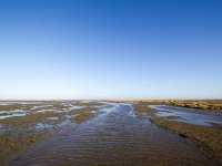 NL, Zuid-Holland, Goeree-Overflakkee, Kwade Hoek 75, Saxifraga-Bart Vastenhouw