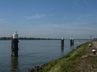 NL, Zuid-Holland, Gorinchem, Boven-Merwede 3, Saxifraga-Jan van der Straaten