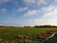 NL, Zuid-Holland, Midden-Delfland 1, Saxifraga-Bart Vastenhouw