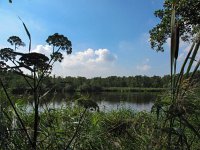 NL, Zuid-Holland, Midden-Delfland, Ackerdijkse Plassen 3, Saxifraga-Bart Vastenhouw