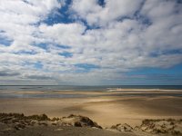 NL, Zuid-Holland, Oostvoorne, Westplaat 2, Saxifraga-Bart Vastenhouw