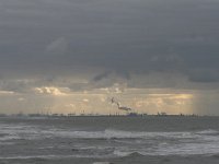 NL, Zuid-Holland, Rotterdam, Maasvlakte 3, Saxifraga-Bart Vastenhouw