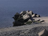 NL, Zuid-Holland, Rotterdam, Maasvlakte II 1, Saxifraga-Peter Meininger