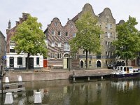 NL, Zuid-Holland, Schiedam, Lange Haven near Taanbrug 1, Saxifraga-Tom Heijnen