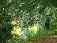 NL, Zuid-Holland, Wassenaar, Landgoed Clingendael in Den Haag 1, Saxifraga-Tom Heijnen