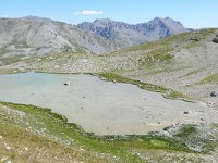 F, Alpes-de-Haute-Provence, Allos, Col de la Petite Cayolle 2, Saxifraga-Tom Heijnen