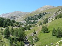 F, Alpes-de-Haute-Provence, Jausiers, Route du Col de Restefond to Cime de la Bonette, Saxifraga-Tom Heijnen