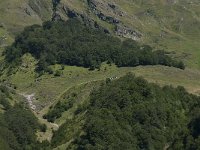 F, Ariege, Couflens, Cabane de Saube 21, Saxifraga-Willem van Kruijsbergen