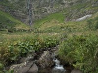 F, Ariege, Couflens, Cirque d Anglade 13, Saxifraga-Willem van Kruijsbergen