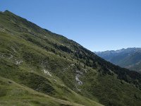 F, Ariege, Couflens, Port de Salau 32, Saxifraga-Willem van Kruijsbergen