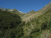 F, Ariege, Couflens, Port de Salau 5, Saxifraga-Willem van Kruijsbergen