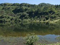 F, Ariege, Le Port, Etang de Lers 2, Saxifraga-Willem van Kruijsbergen