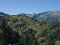 F, Ariege, Prat Mataou 4, Saxifraga-Willem van Kruijsbergen