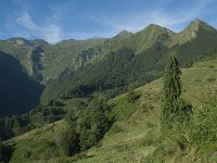 F, Ariege, Seix, Col de Pause 1, Saxifraga-Willem van Kruijsbergen