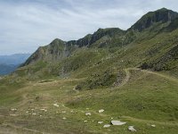 F, Ariege, Seix, Port d Aula 39, Saxifraga-Willem van Kruijsbergen