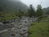 F, Ariege, Ustou, Cirque de Cagateille 4, Saxifraga-Willem van Kruijsbergen