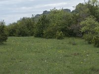 F, Aveyron, Lapanouse-de-Cernon 3, Saxifraga-Willem van Kruijsbergen