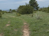 F, Aveyron, Lapanouse-de-Cernon 9, Saxifraga-Willem van Kruijsbergen