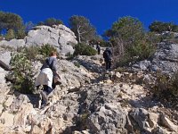 F, Bouches-du-Rhone, Cassis 15, Saxifraga-Hans Dekker