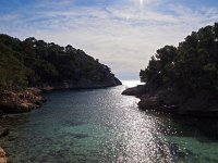 F, Bouches-du-Rhone, Cassis 17, Saxifraga-Hans Dekker