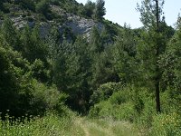 F, Bouches-du-Rhone, Saint-Remy-de-Provence, Alpilles 16, Saxifraga-Dirk Hilbers