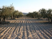 F, Bouches-du-Rhone, Saint-Remy-de-Provence, Alpilles 8, Saxifraga-Dirk Hilbers